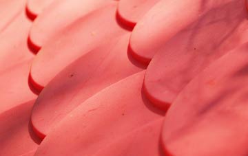 Natton plastic roof costs